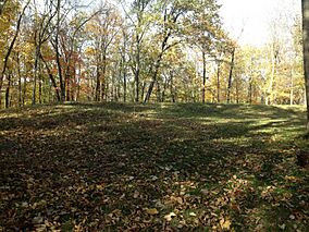 Big bear mound at Effigy Mounds State Park.jpg