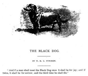 Black Dog