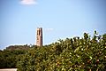 Bok Tower through the Orange Grove, Lake Wales, FL, KW (15707214236)