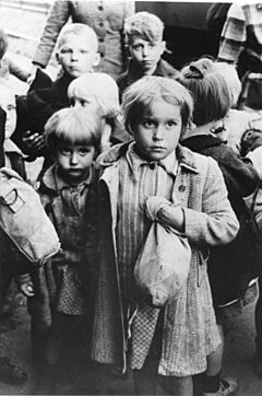 Bundesarchiv Bild 183-2003-0703-500, Rückführung deutscher Kinder aus Polen