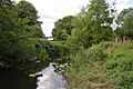 Chelmer Valley Riverside 8