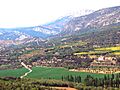 Corçà, la Noguera, Catalunya (A SiT D9796)