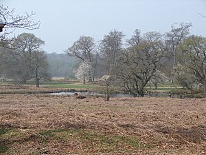 Deer Park - geograph.org.uk - 400493