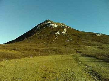 Donnelly Dome, AK, don'cha know - panoramio.jpg