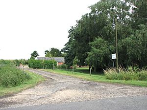 Driveway to Crabb's Abbey - geograph.org.uk - 1390519
