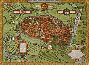 DuisburgVogelschauplan1566