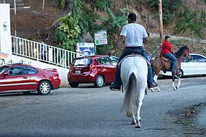 En la Ruta Gastronómica de Guayama, Puerto Rico