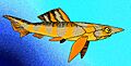 Fallacosteus turnerae