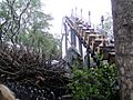 Flight of the Hippogriff at Islands of Adventure