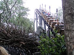 Flight of the Hippogriff at Islands of Adventure.jpg