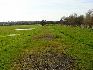 Former Rye Harbour Branch Line - geograph.org.uk - 361182
