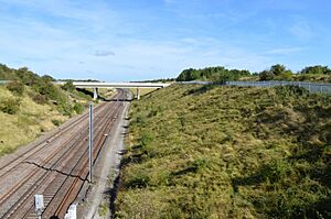 Great Stukeley Railway Cutting 4