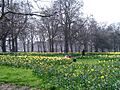 Green Park, London, England