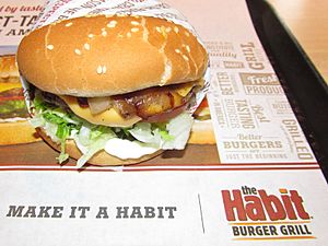Habit Burger Grill Charburger with Cheese (29483116130)