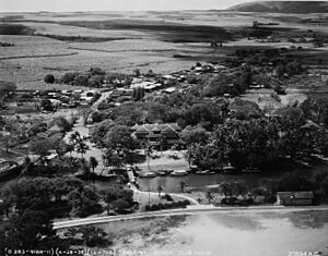 Hawaii - Haleiwa - NARA - 23938737 (cropped)