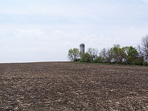 Farmland in Sibley