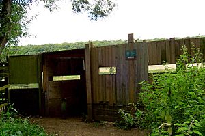 Heron screen overlooking Sprotborough flash. - geograph.org.uk - 536092