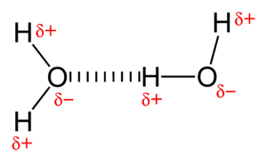 Hydrogen-bonding-in-water-2D