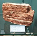 Jacobsville Sandstone sample 1