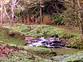 Kerikeri Stream waterfall beside Ruakiwi Rd