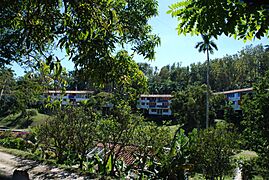 Las Terrazas, Sierra del Rosario, Kuba 02