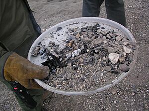 Leave No Trace Fire