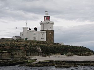 Lighthouse, Coquet Island 1.JPG