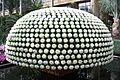 Longwood Garden 001
