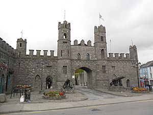 Macroom Castle entrance and cannons