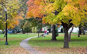 Manchester Iowa Tirrill Park