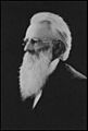 Masonbrayman