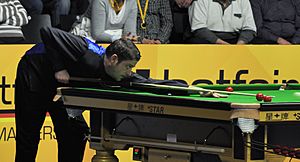 Matthew Stevens at Snooker German Masters (DerHexer) 2013-01-30 03