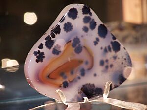 Montana Moss Agate