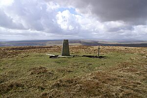 Mynydd Carn-y-cefn - geograph.org.uk - 146251