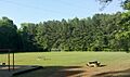 NWParkChathamNCField