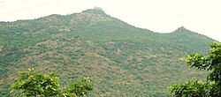 Nainamalai adivaram - panoramio (1).jpg