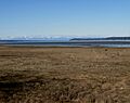 Nisqually Delta opening to South Puget Sound (2290708988)