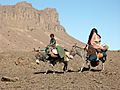 Nomad-Tuaregs