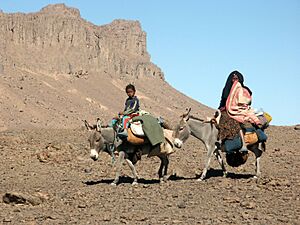 Nomad-Tuaregs