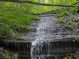 North-old-mac-trail-tn1