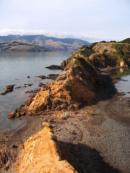 Onawe Peninsula, 2007