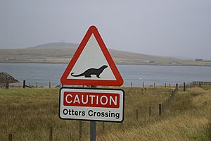 Otters Crossing sign at Benbecula