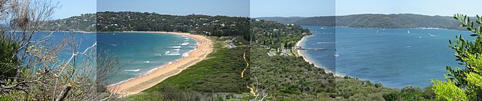 Palm Beach and Pittwater Panorama