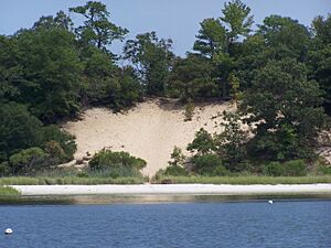 Park shore line (6070794534)