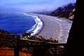 PatricksPointStateParkCA-DrDennisBogdan-1967