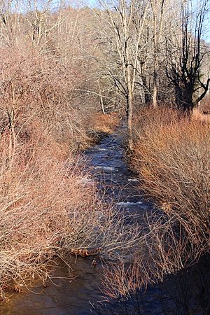 Phillips Creek 2