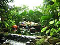 Phipps2