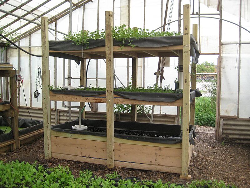 Portable fish farm at growing power