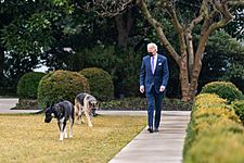 President Joe Biden walking with Major and Champ, 26 January 2021