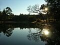 Reflection over lake aiken sc